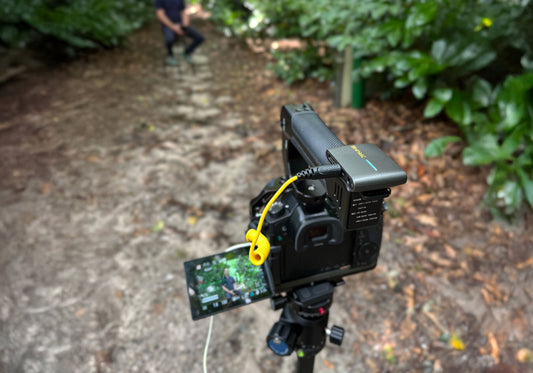 Wat is het verschil tussen TRS en TRRS?