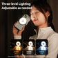 Lampe selfie Telesin C03 MagSafe avec miroir – Argent