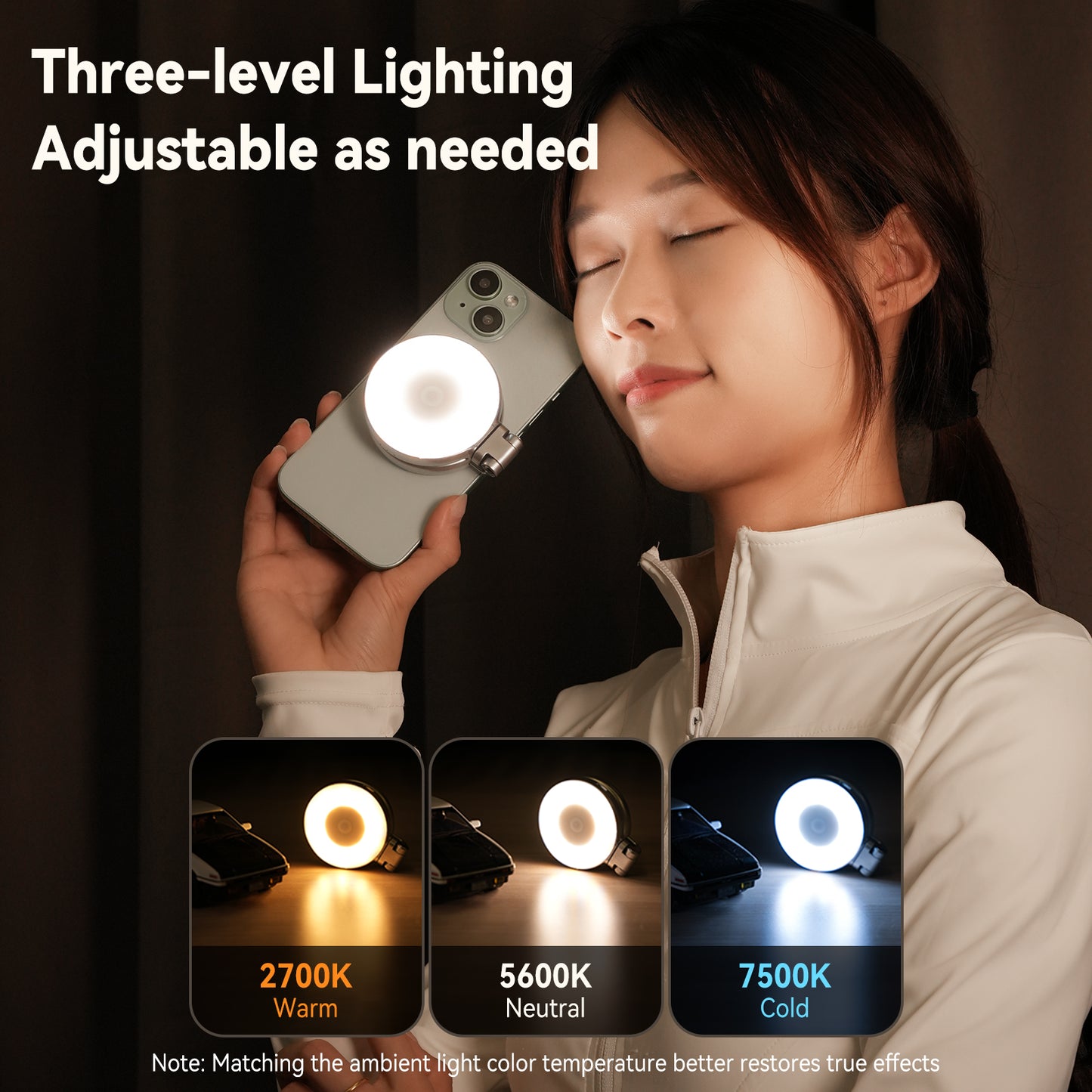 Lampe selfie Telesin C03 MagSafe avec miroir – Argent