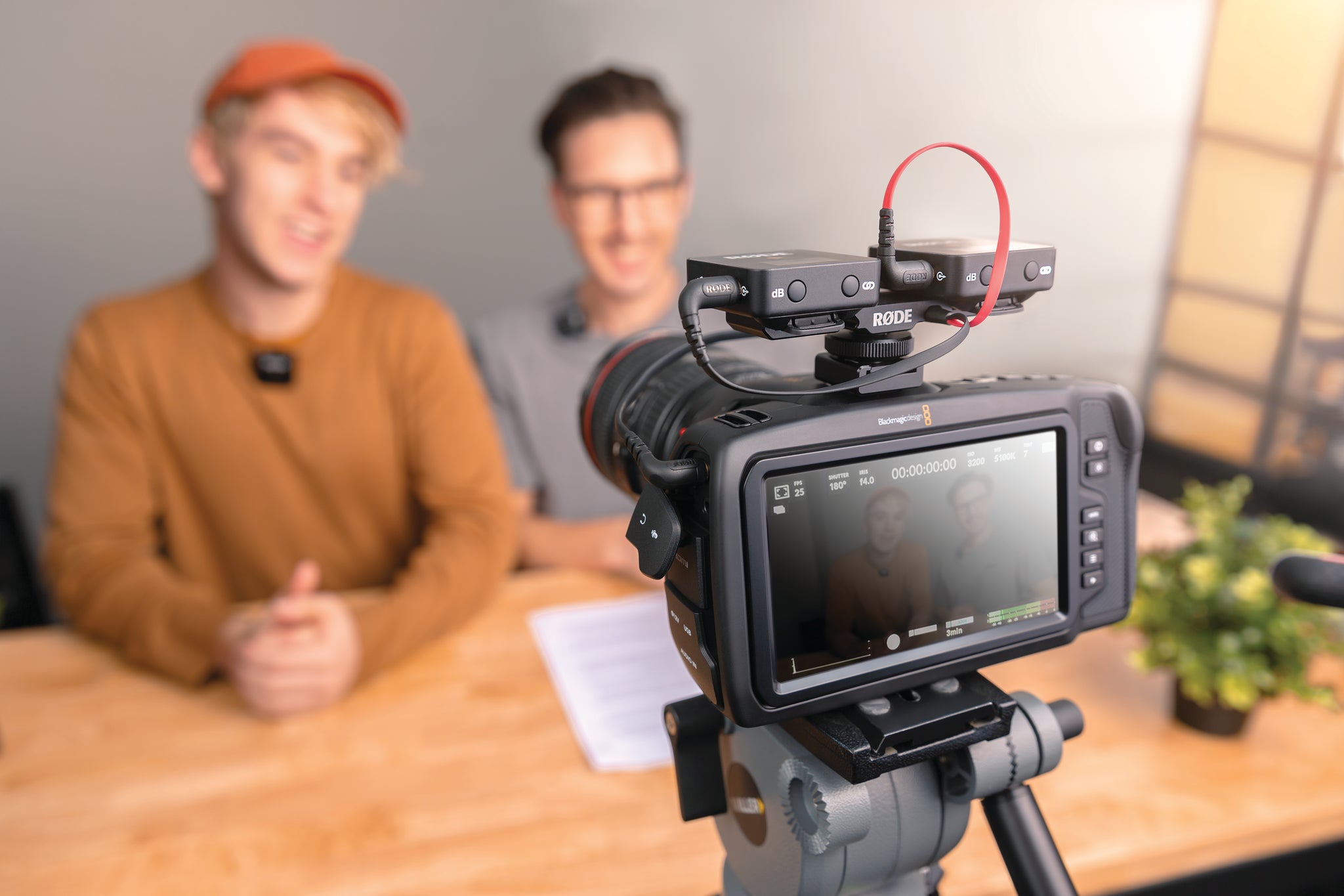 RØDE SC11 adapterkabel voor RØDE Videomic NTG