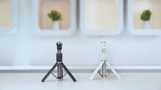 Hohem RS01 Selfiestick Statief met Gimbal Remote - Zwart/Wit